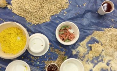 Na zdjęciu widać porozsypywane na niebieskiej folii produkty spożywcze, takie jak płatki owsiane, kolorowy makaron, mąka i barwione płyny w kubeczkach. Scena wygląda na efekt zabawy doświadczalnej z wykorzystaniem różnorodnych tekstur i kolorów.