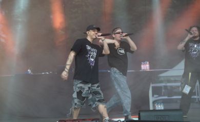 Zdechły Osa