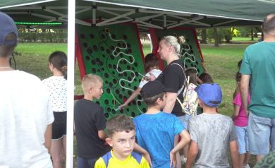 Na zdjęciu grupa dzieci oraz dorosłych stoi pod zielonym namiotem, przy stoiskach z dużymi, pionowymi planszami do gry lub zabawy (jedna z atrakcji strefa refleksu). Plansze są zielone z czarnymi kółkami oraz białymi ścieżkami Dzieci i dorośli są skupieni na zabawie. W tle widać trawę i drzewa.